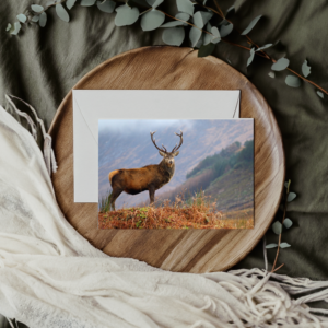 Guardian of the Glen Card, beautiful photography by Ballachulish photographer Maresa Sinclair. This photo was taking in Glen Etive, Scotland, on a misty moody day.