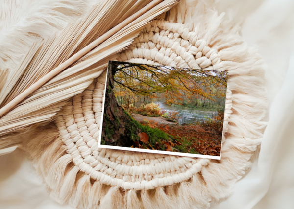 River Coe in Autumn Card, beautiful photography by Ballachulish photographer Maresa Sinclair. This photo was taken near Glencoe Village, Scotland.