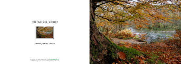 River Coe in Autumn Card, beautiful photography by Ballachulish photographer Maresa Sinclair. This photo was taken near Glencoe Village, Scotland.