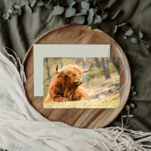 Highland Cow Greeting Card 5" x 7" inch photo by Maresa Sinclair